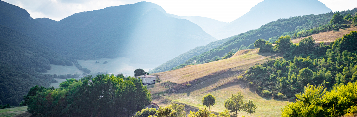 Новый спецпроект