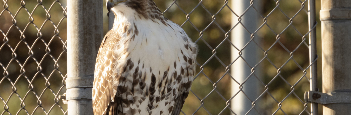 заголовок спецпроект 2512