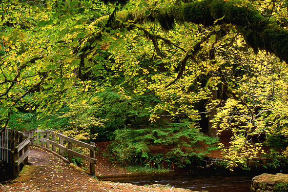 12 апреля — День космонавтики: праздник, открывший человечеству дорогу к звёздам