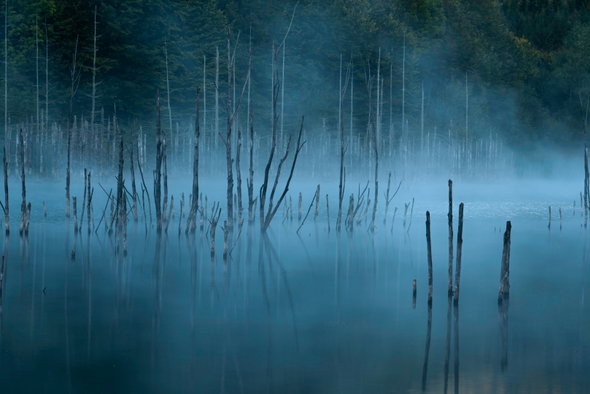 Новость тест 0804