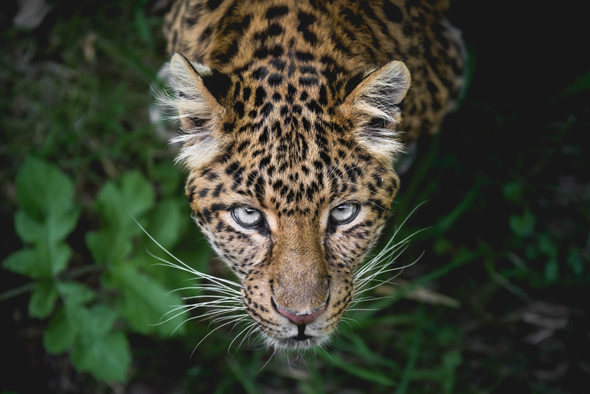 Как перейти на весеннюю одежду и не простудиться: 5 секретов, которые спасут вас от коварной погоды