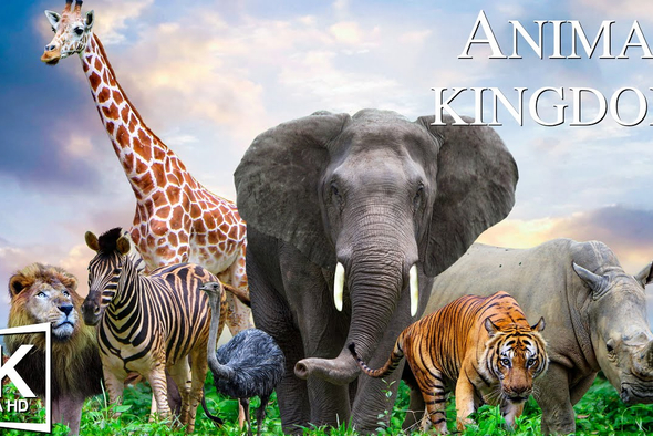 25 декабря — значимая дата календаря, отмечаемая разными народами мира