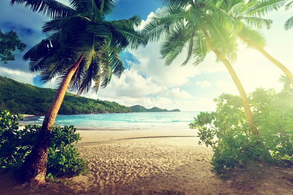 статья новая 1102 Адвокат Энтин: при возвращении в РФ McDonald’s придется начинать с нуля